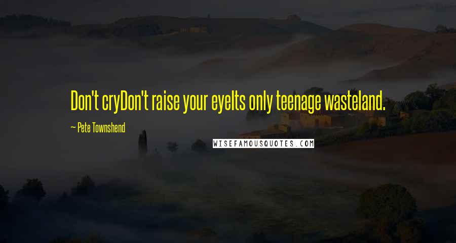Pete Townshend Quotes: Don't cryDon't raise your eyeIts only teenage wasteland.