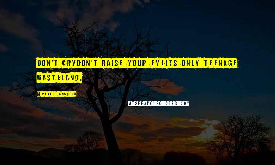 Pete Townshend Quotes: Don't cryDon't raise your eyeIts only teenage wasteland.