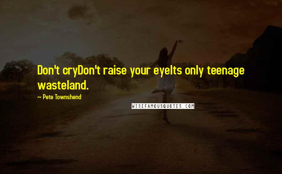 Pete Townshend Quotes: Don't cryDon't raise your eyeIts only teenage wasteland.