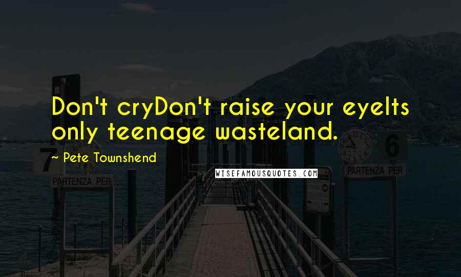 Pete Townshend Quotes: Don't cryDon't raise your eyeIts only teenage wasteland.