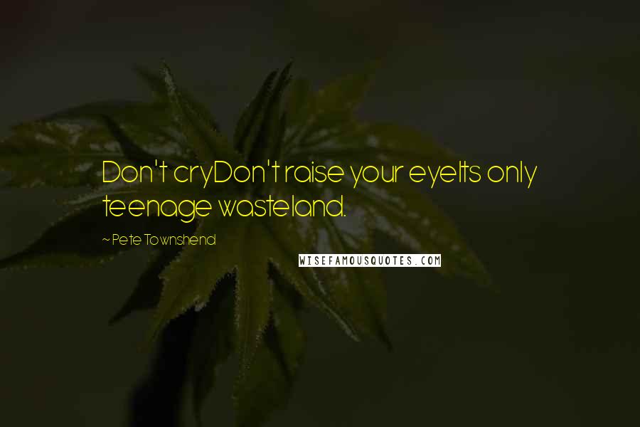 Pete Townshend Quotes: Don't cryDon't raise your eyeIts only teenage wasteland.