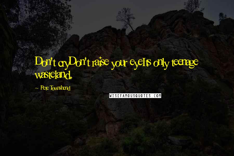 Pete Townshend Quotes: Don't cryDon't raise your eyeIts only teenage wasteland.