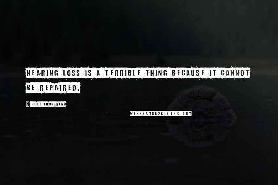 Pete Townshend Quotes: Hearing loss is a terrible thing because it cannot be repaired.