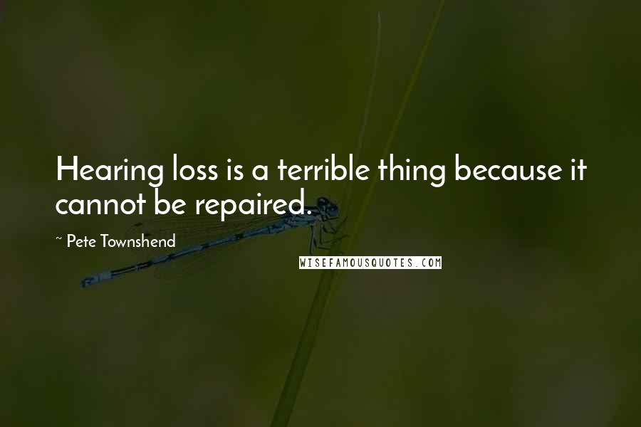 Pete Townshend Quotes: Hearing loss is a terrible thing because it cannot be repaired.