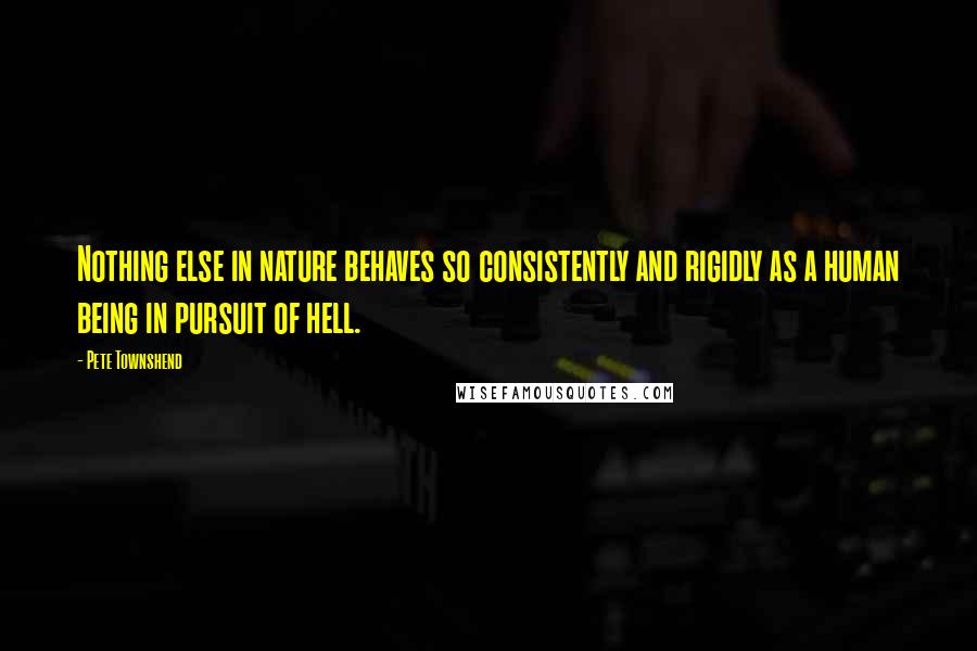 Pete Townshend Quotes: Nothing else in nature behaves so consistently and rigidly as a human being in pursuit of hell.