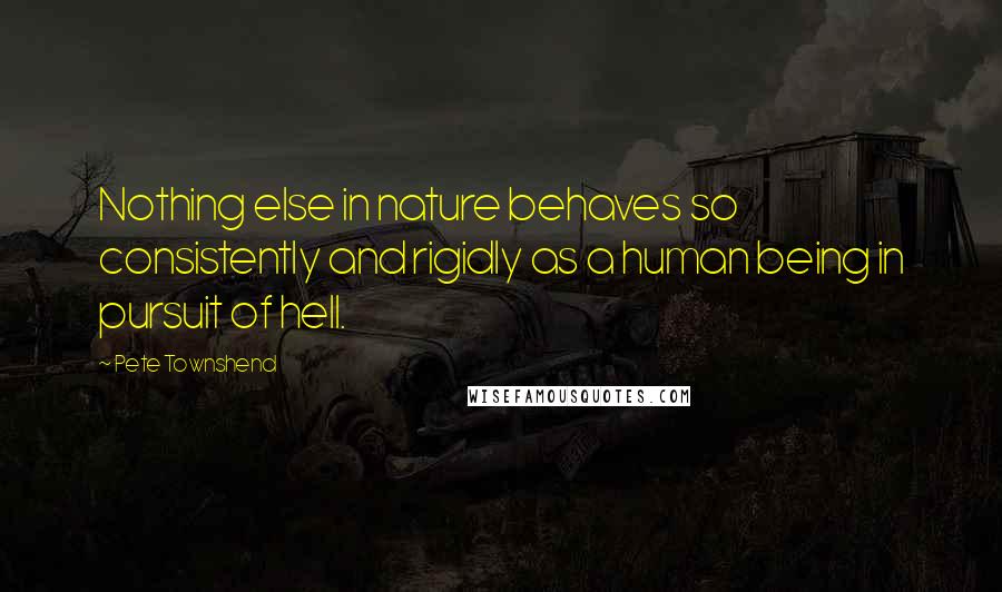 Pete Townshend Quotes: Nothing else in nature behaves so consistently and rigidly as a human being in pursuit of hell.