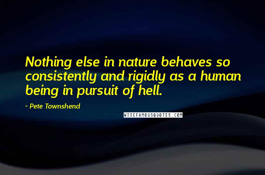 Pete Townshend Quotes: Nothing else in nature behaves so consistently and rigidly as a human being in pursuit of hell.