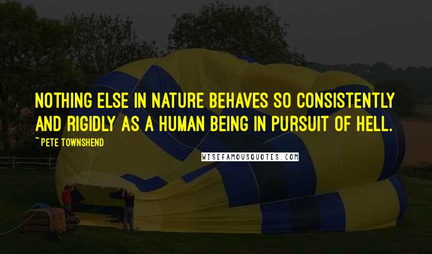 Pete Townshend Quotes: Nothing else in nature behaves so consistently and rigidly as a human being in pursuit of hell.