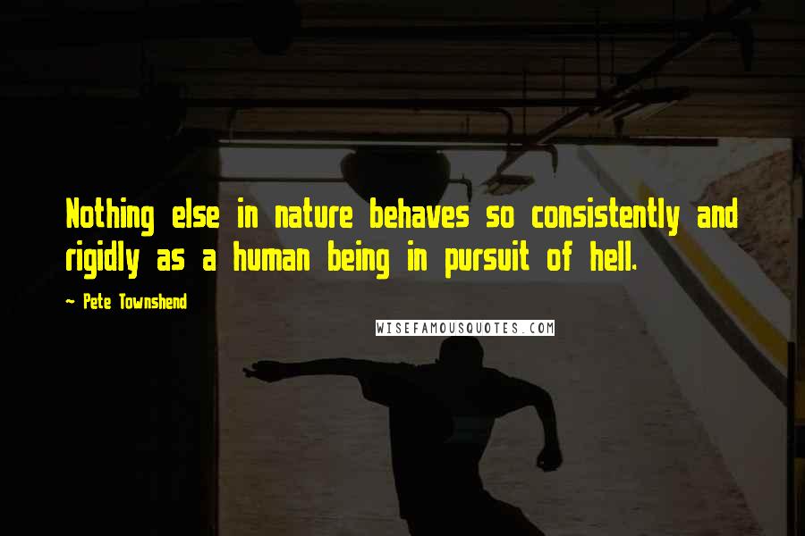 Pete Townshend Quotes: Nothing else in nature behaves so consistently and rigidly as a human being in pursuit of hell.