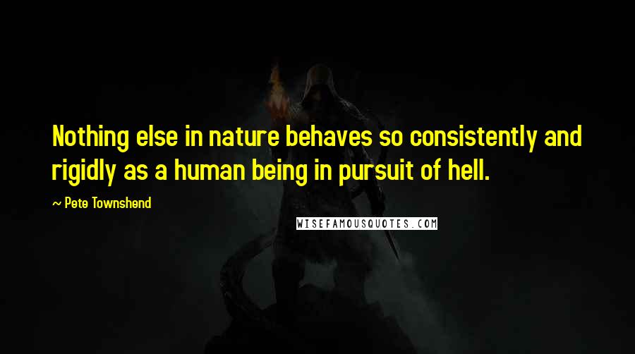 Pete Townshend Quotes: Nothing else in nature behaves so consistently and rigidly as a human being in pursuit of hell.