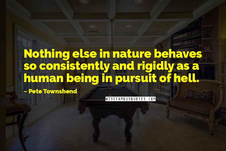 Pete Townshend Quotes: Nothing else in nature behaves so consistently and rigidly as a human being in pursuit of hell.