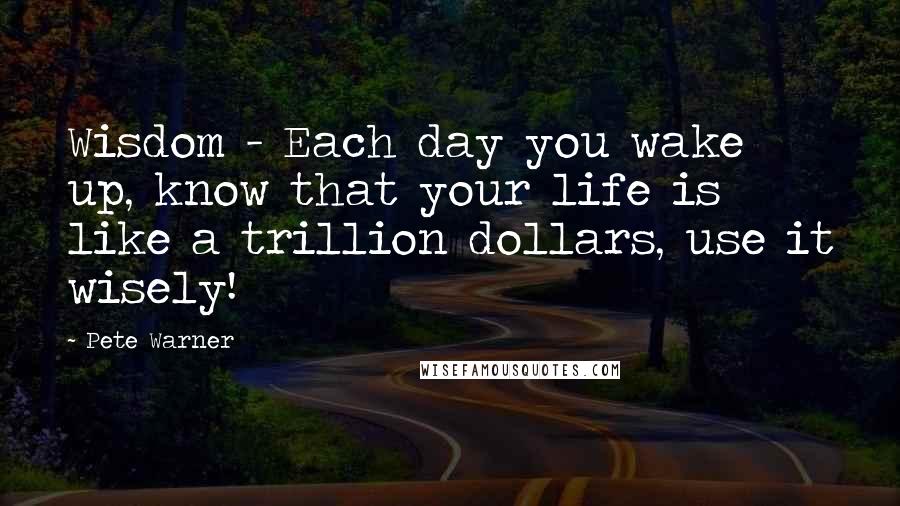 Pete Warner Quotes: Wisdom - Each day you wake up, know that your life is like a trillion dollars, use it wisely!