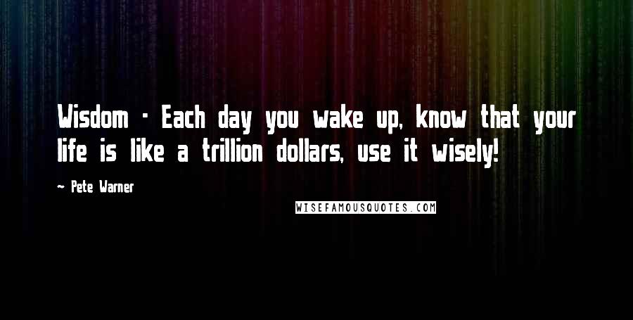 Pete Warner Quotes: Wisdom - Each day you wake up, know that your life is like a trillion dollars, use it wisely!