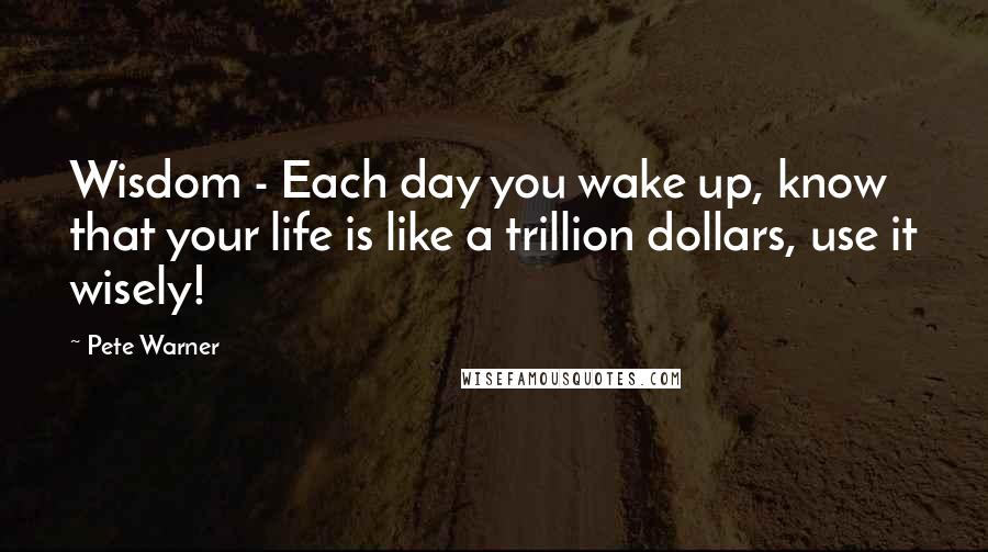 Pete Warner Quotes: Wisdom - Each day you wake up, know that your life is like a trillion dollars, use it wisely!