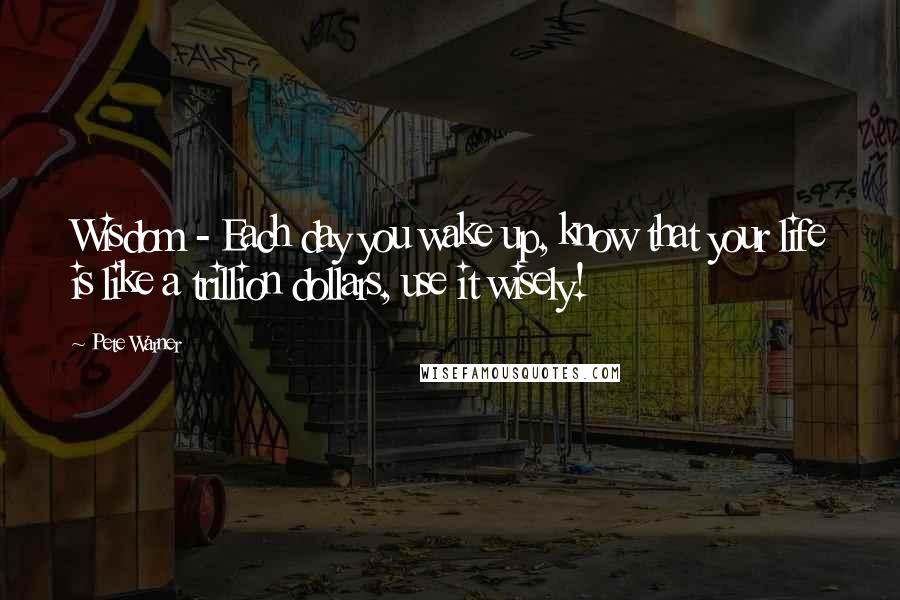 Pete Warner Quotes: Wisdom - Each day you wake up, know that your life is like a trillion dollars, use it wisely!