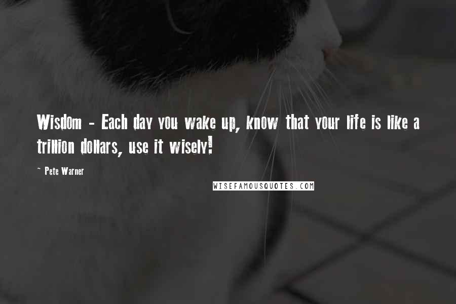 Pete Warner Quotes: Wisdom - Each day you wake up, know that your life is like a trillion dollars, use it wisely!