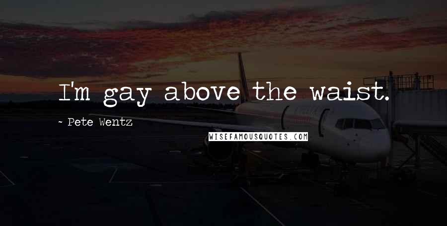 Pete Wentz Quotes: I'm gay above the waist.