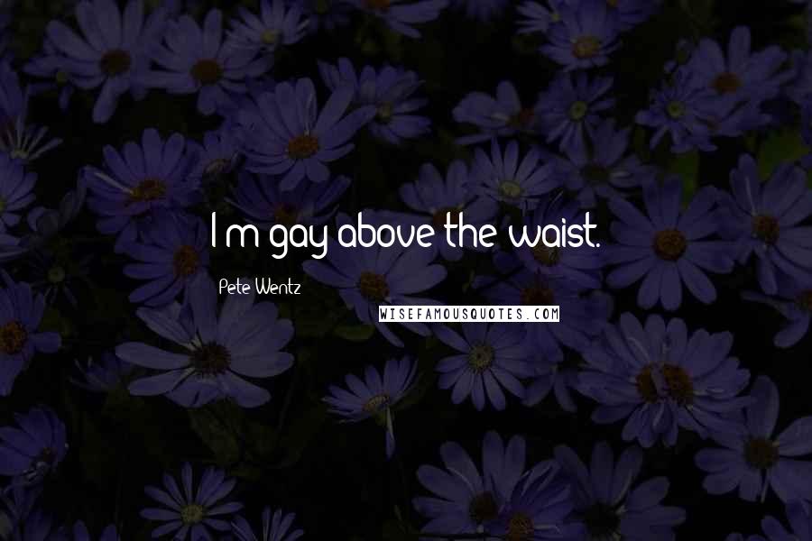 Pete Wentz Quotes: I'm gay above the waist.