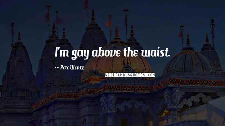 Pete Wentz Quotes: I'm gay above the waist.