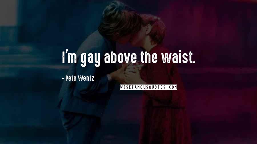 Pete Wentz Quotes: I'm gay above the waist.