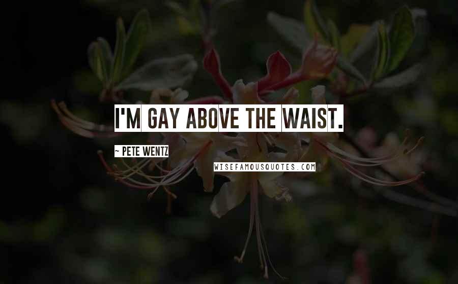 Pete Wentz Quotes: I'm gay above the waist.