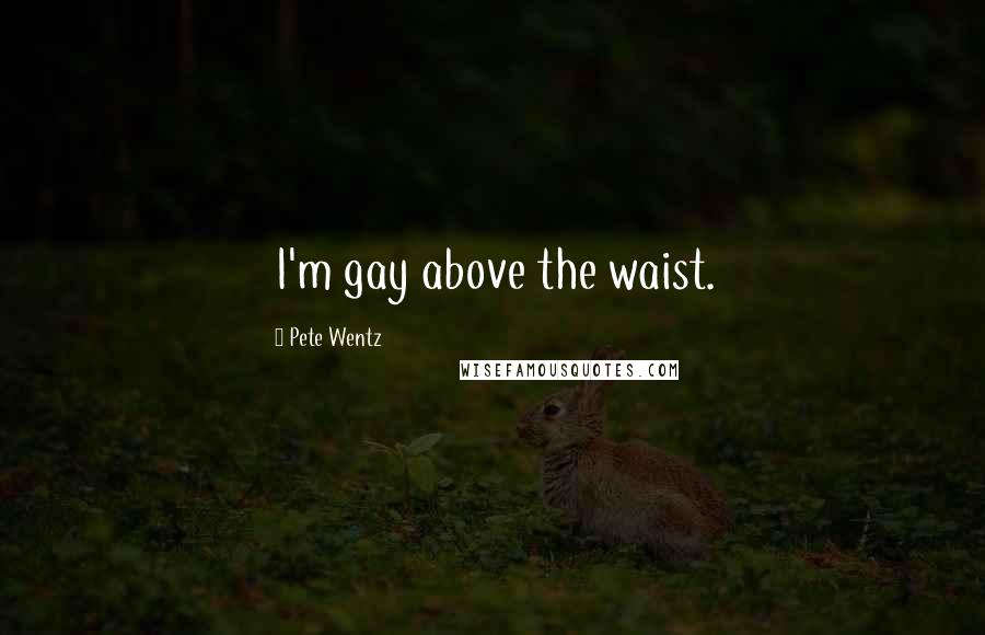Pete Wentz Quotes: I'm gay above the waist.