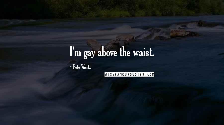 Pete Wentz Quotes: I'm gay above the waist.