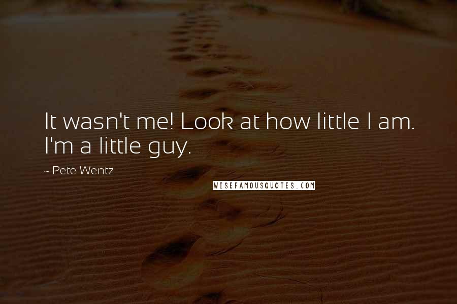 Pete Wentz Quotes: It wasn't me! Look at how little I am. I'm a little guy.