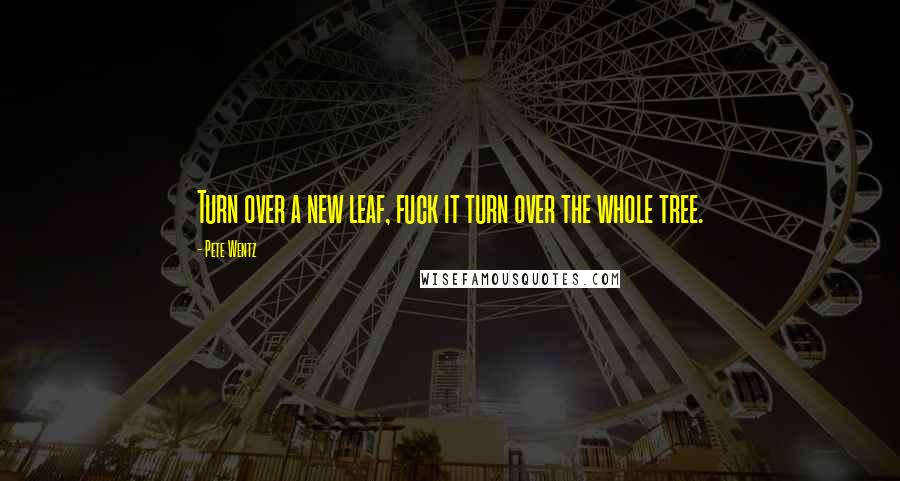 Pete Wentz Quotes: Turn over a new leaf, fuck it turn over the whole tree.