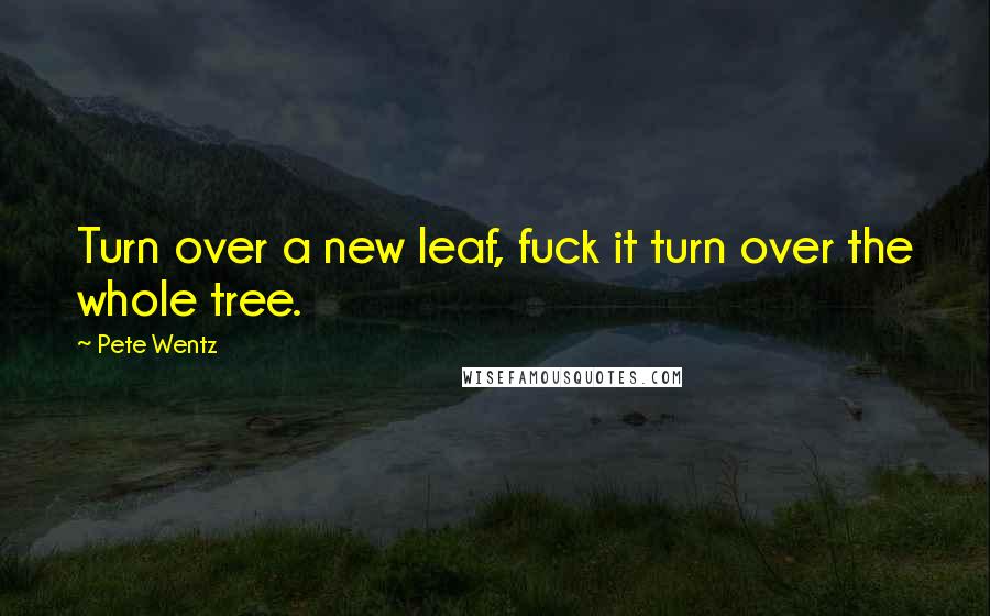 Pete Wentz Quotes: Turn over a new leaf, fuck it turn over the whole tree.