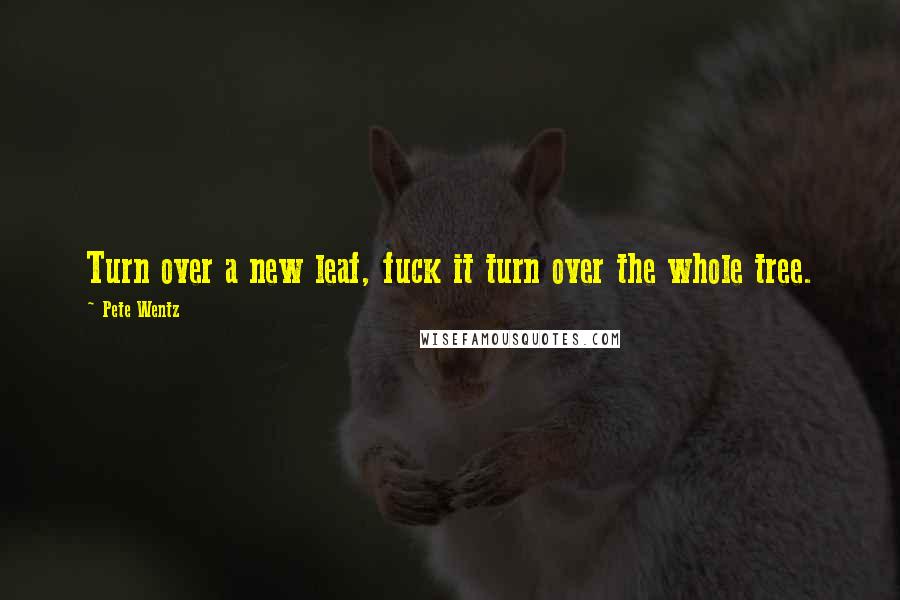 Pete Wentz Quotes: Turn over a new leaf, fuck it turn over the whole tree.