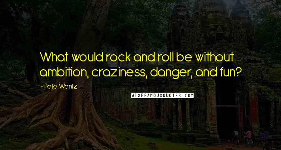 Pete Wentz Quotes: What would rock and roll be without ambition, craziness, danger, and fun?