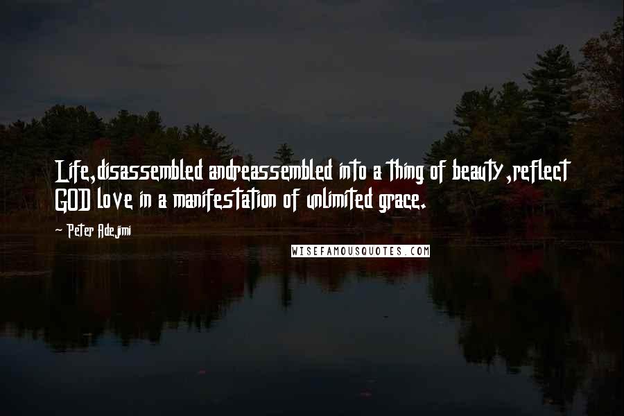 Peter Adejimi Quotes: Life,disassembled andreassembled into a thing of beauty,reflect GOD love in a manifestation of unlimited grace.