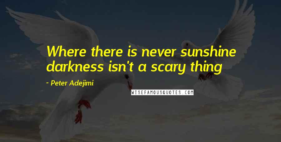 Peter Adejimi Quotes: Where there is never sunshine darkness isn't a scary thing