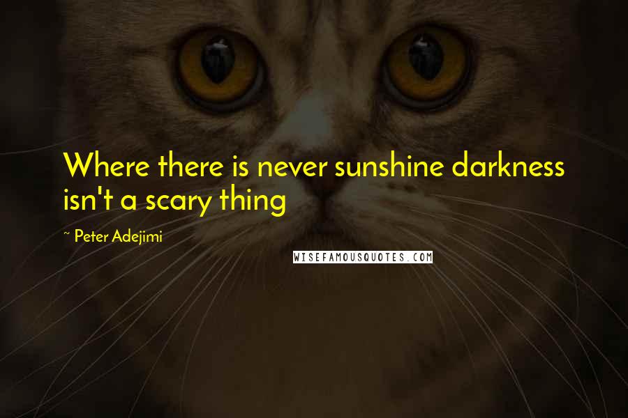 Peter Adejimi Quotes: Where there is never sunshine darkness isn't a scary thing