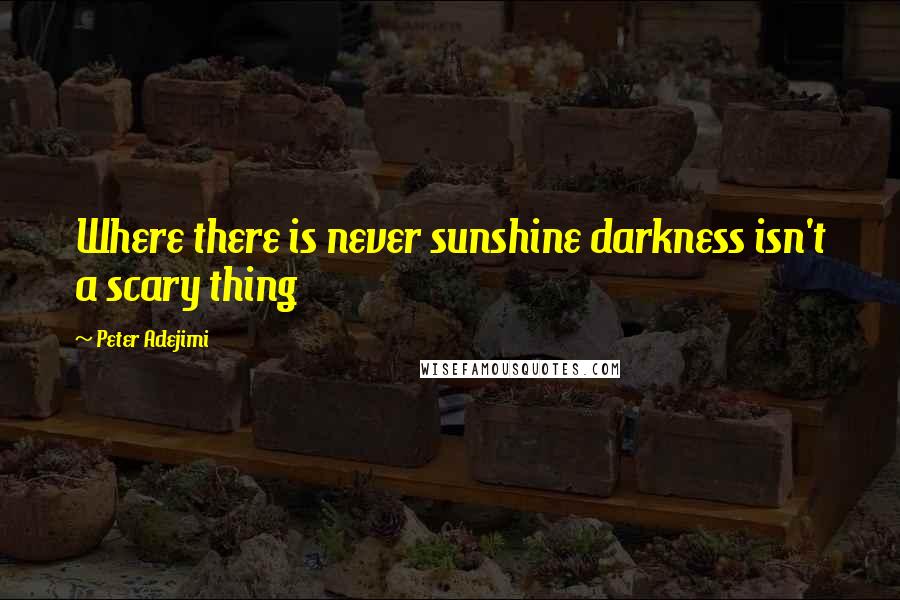 Peter Adejimi Quotes: Where there is never sunshine darkness isn't a scary thing