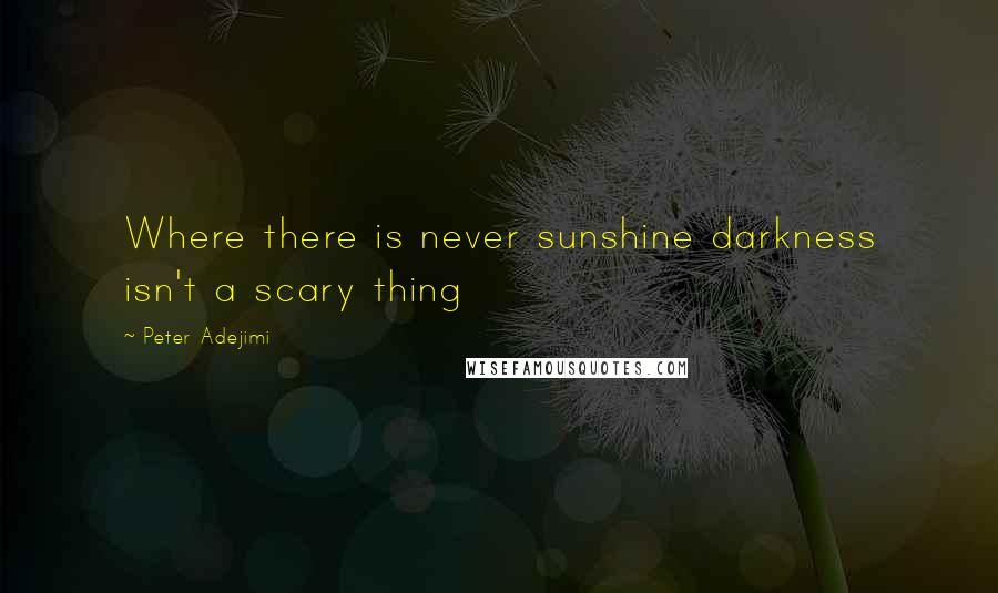 Peter Adejimi Quotes: Where there is never sunshine darkness isn't a scary thing