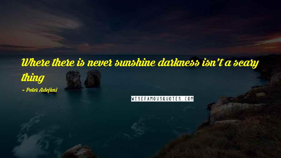 Peter Adejimi Quotes: Where there is never sunshine darkness isn't a scary thing