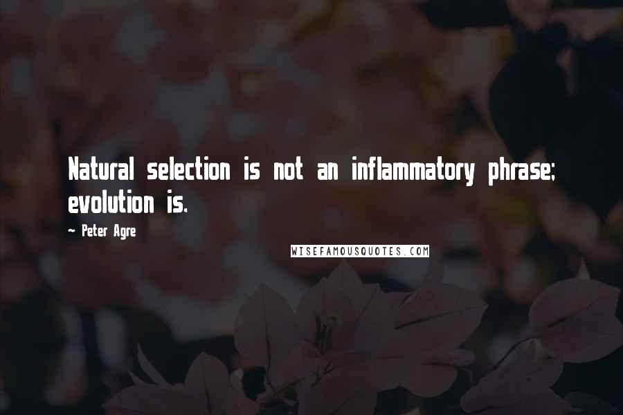 Peter Agre Quotes: Natural selection is not an inflammatory phrase; evolution is.