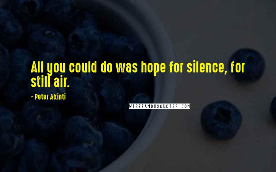 Peter Akinti Quotes: All you could do was hope for silence, for still air.