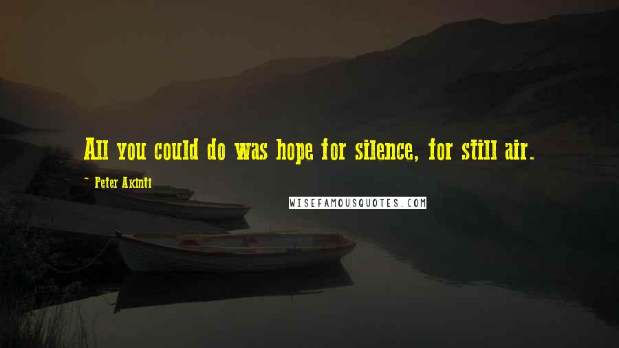 Peter Akinti Quotes: All you could do was hope for silence, for still air.