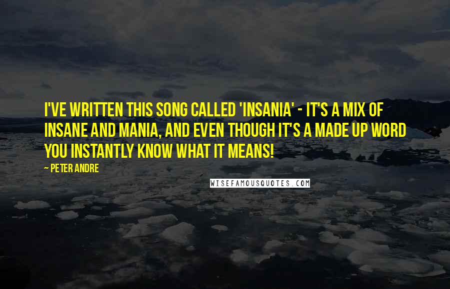 Peter Andre Quotes: I've written this song called 'Insania' - it's a mix of Insane and Mania, and even though it's a made up word you instantly know what it means!