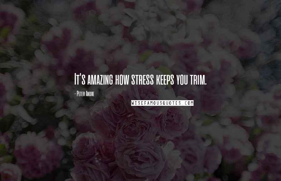 Peter Andre Quotes: It's amazing how stress keeps you trim.