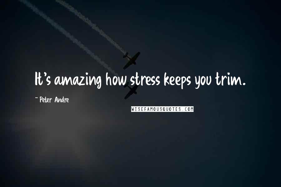 Peter Andre Quotes: It's amazing how stress keeps you trim.