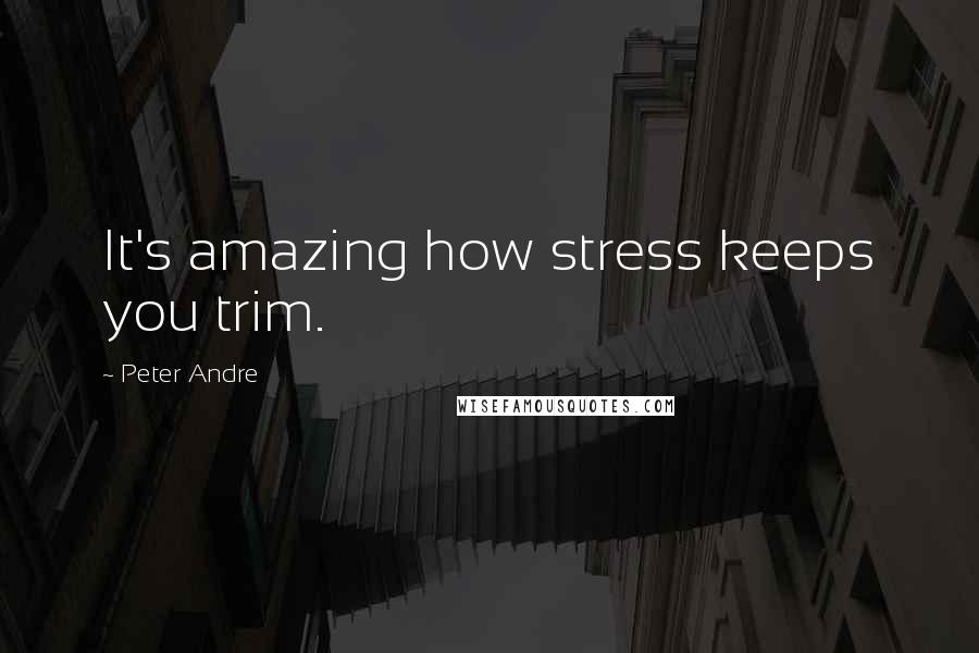 Peter Andre Quotes: It's amazing how stress keeps you trim.