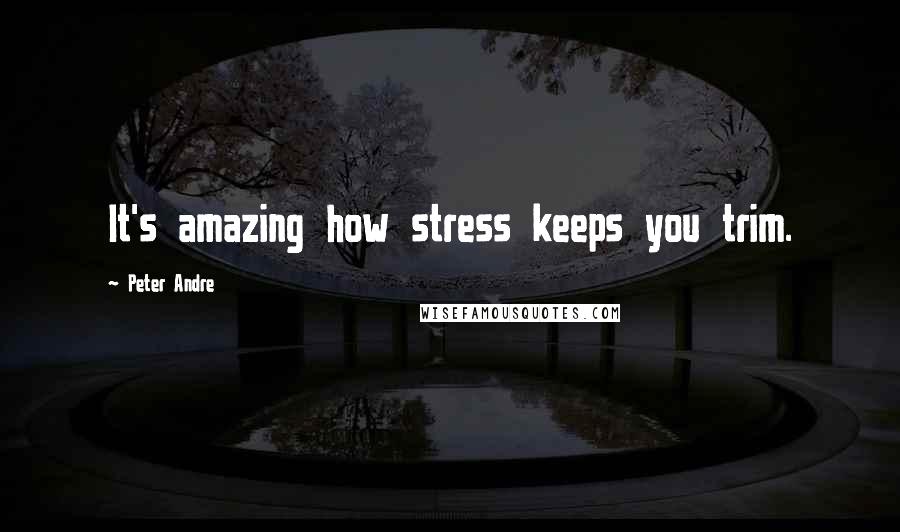 Peter Andre Quotes: It's amazing how stress keeps you trim.