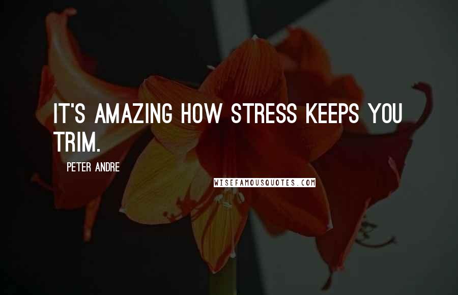 Peter Andre Quotes: It's amazing how stress keeps you trim.