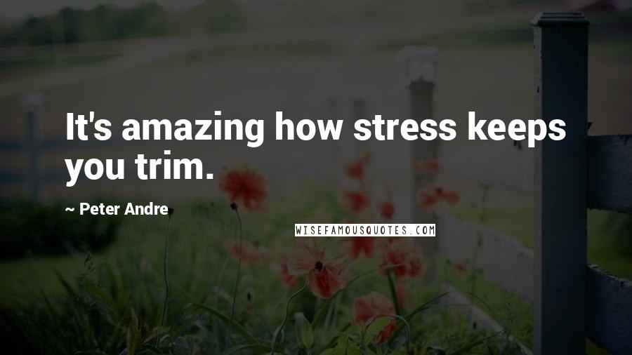 Peter Andre Quotes: It's amazing how stress keeps you trim.