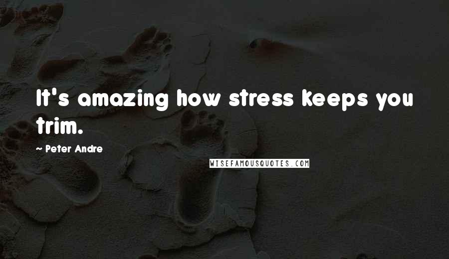 Peter Andre Quotes: It's amazing how stress keeps you trim.