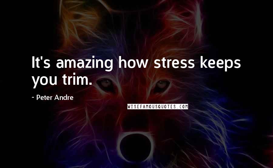 Peter Andre Quotes: It's amazing how stress keeps you trim.